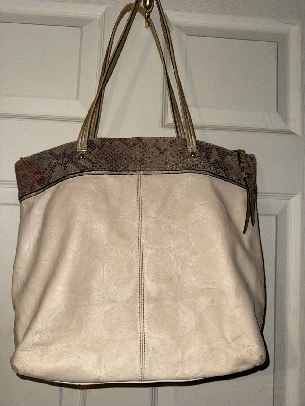 Coach snakeskin accent bag